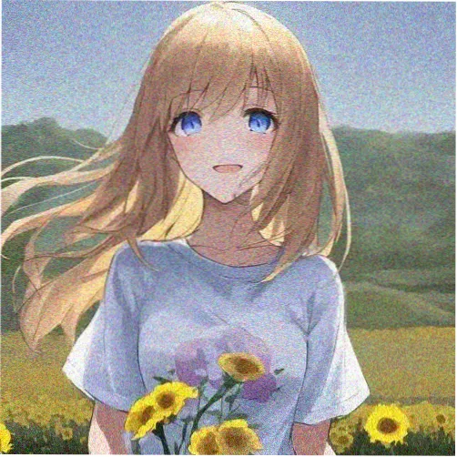 观众阿禾的头像